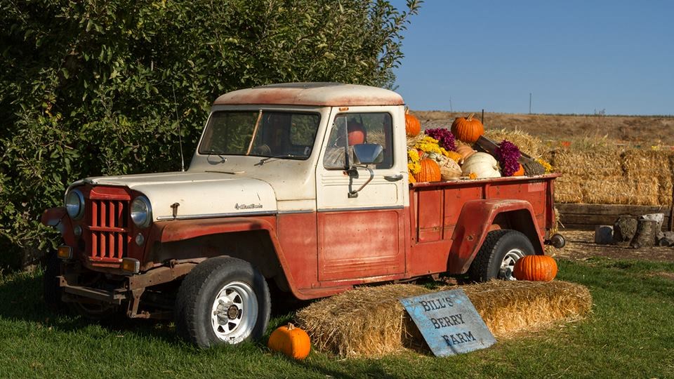 Bill's Berry Farm