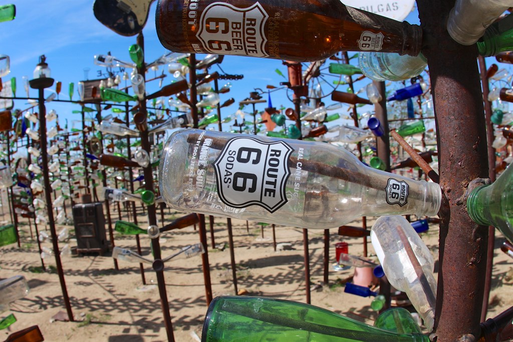 Bottle Tree Ranch