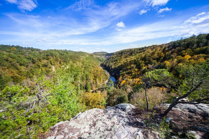 Cumberland Plateau