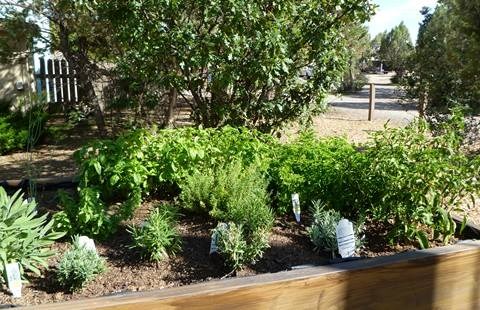 Durango KOA Herb Garden