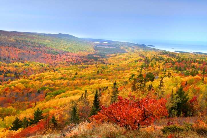 Fall in Michigan