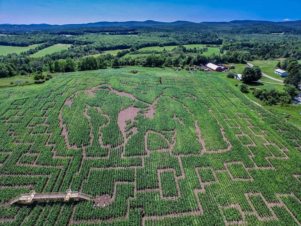 Great Vermont Corn Maze