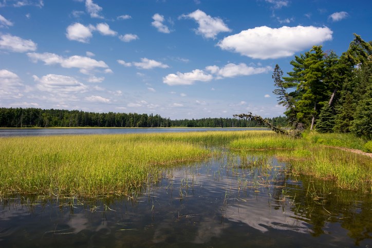  Itasca State Park, Northern Minnesota