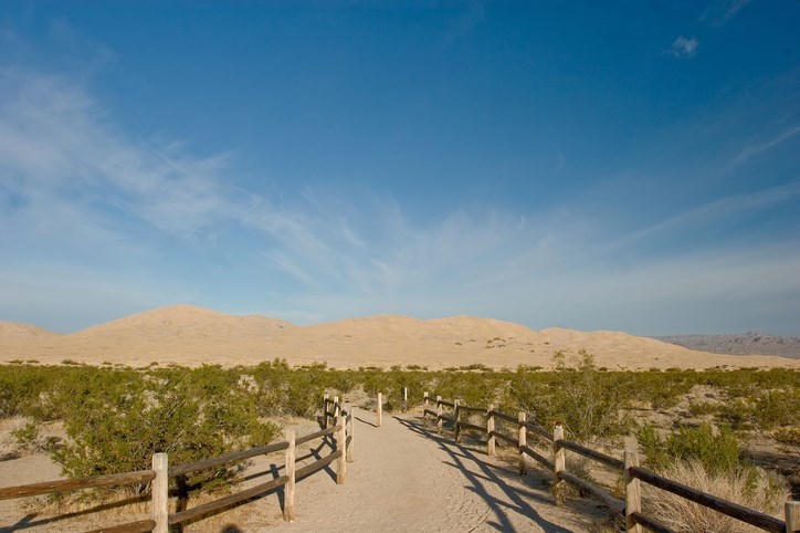 Kelso Dunes