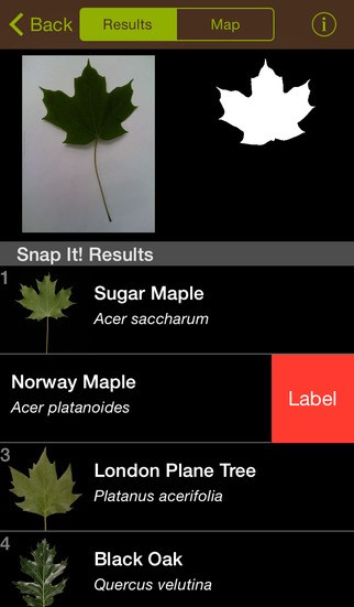 Leafsnap App