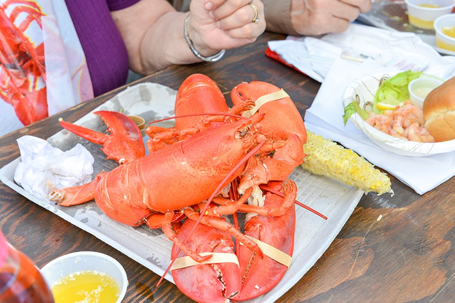 Maine Lobster Festival Tim Sullivan