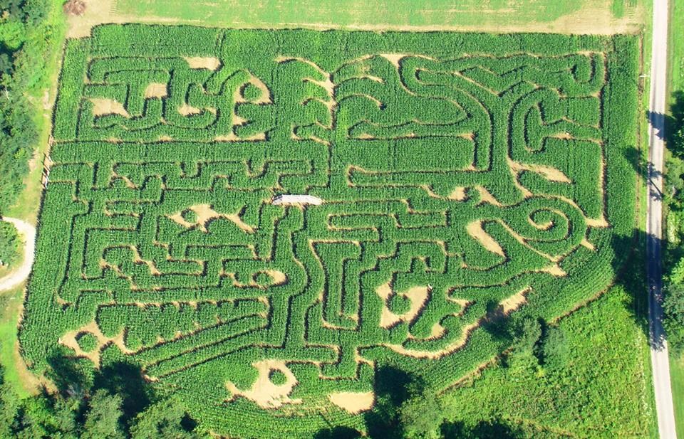 McPeek's Mighty Maze