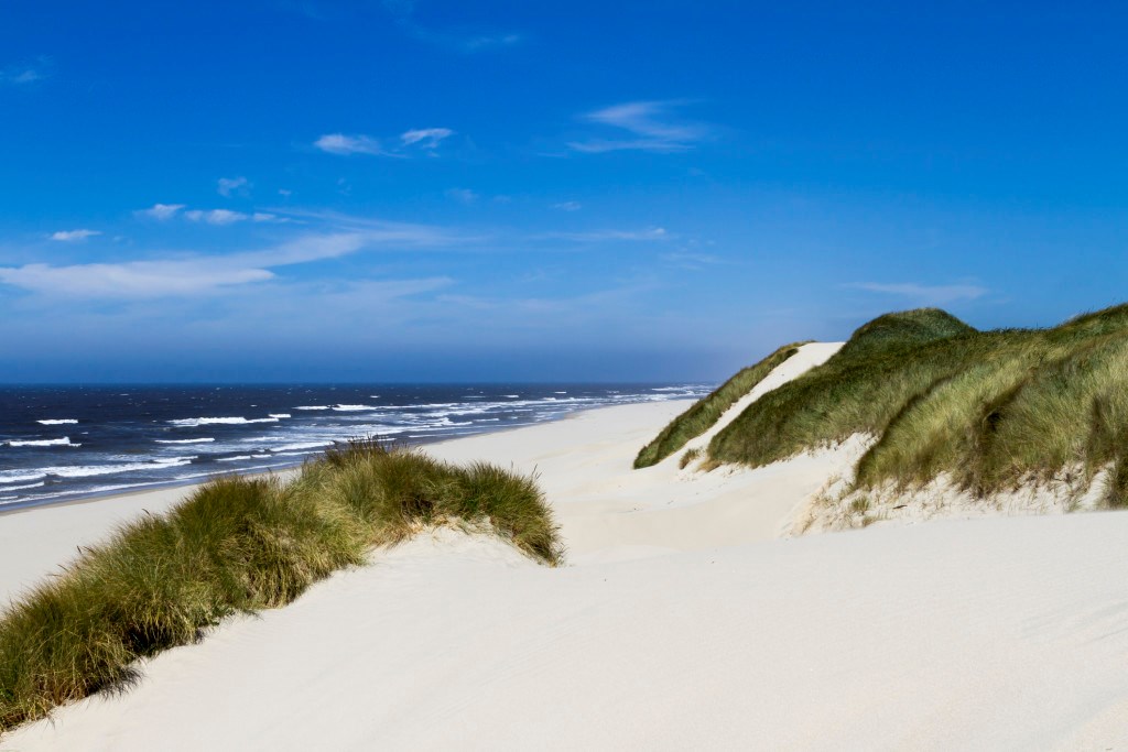 Oregon-Dunes-Northwest-Coast-Dream-Trip