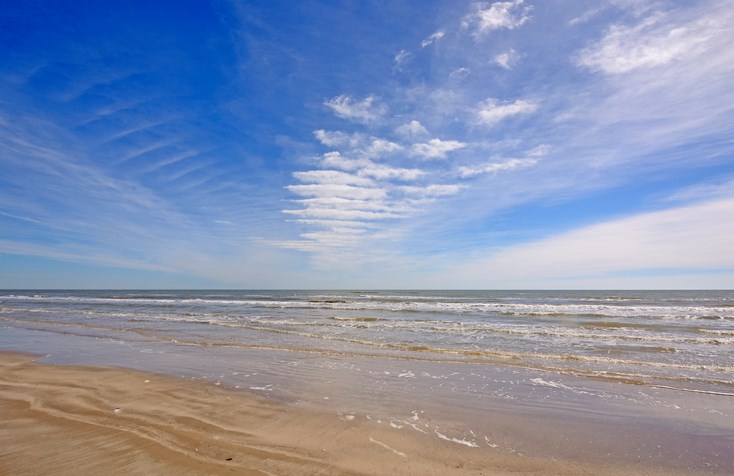 Padre Island National Seashore