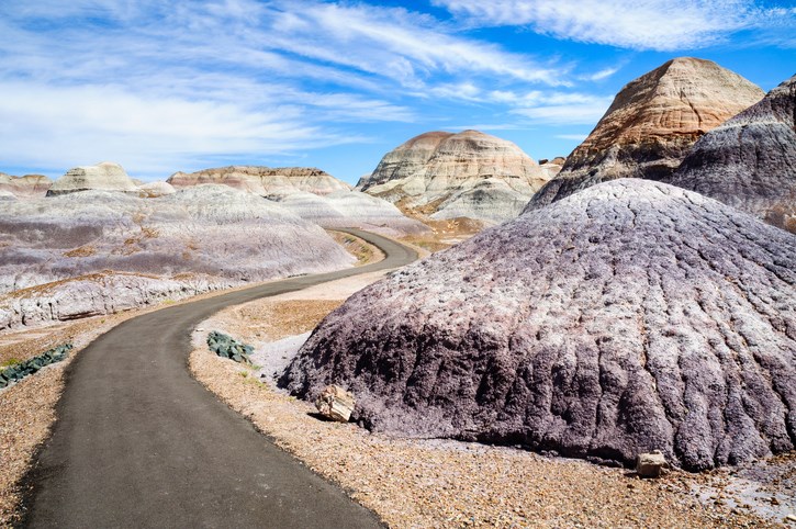 Petrified Forest National Park