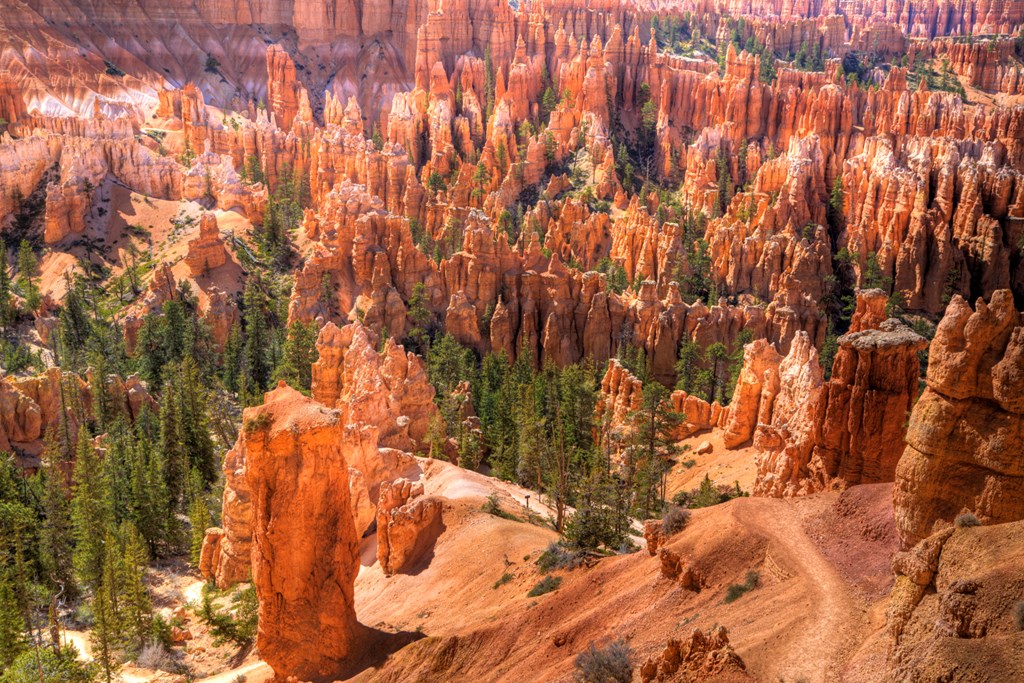 Rim Trail Bryce Canyon.jpg