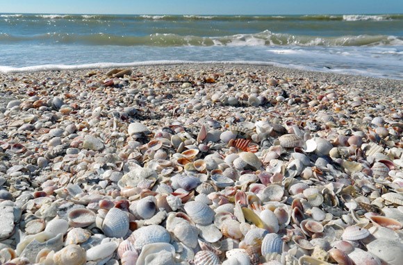 Sanibel Island