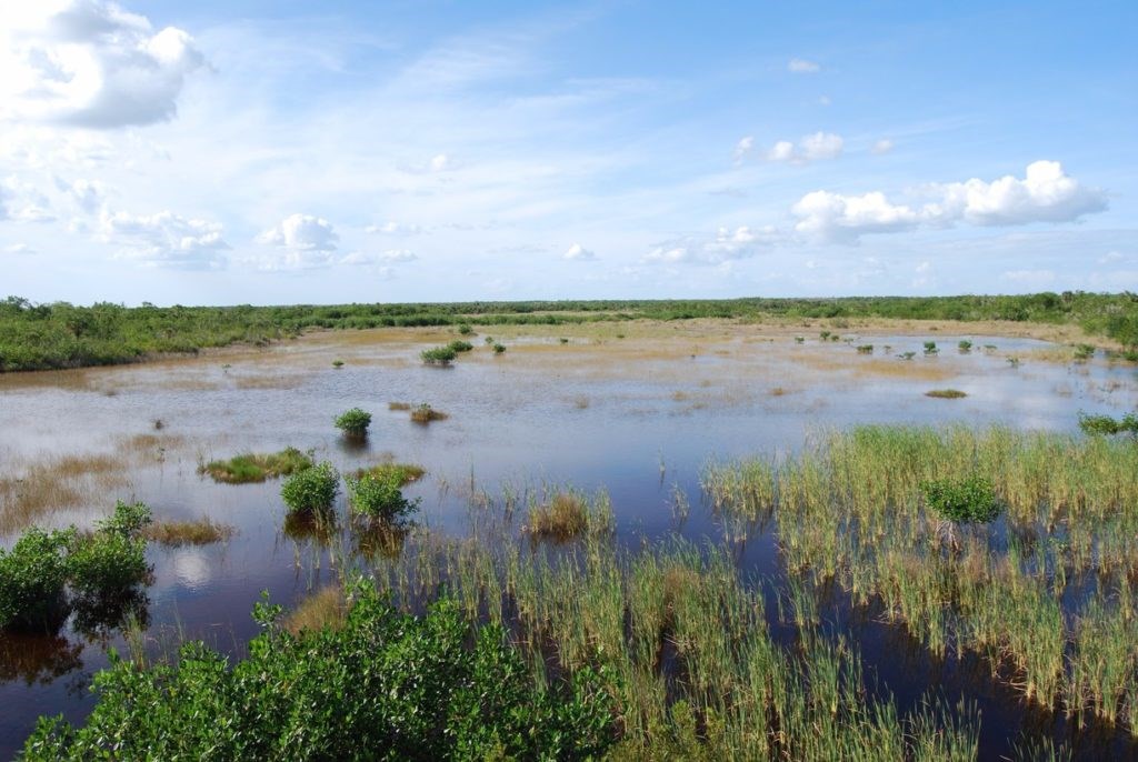 Ten Thousand Islands National Wildlife Refuge