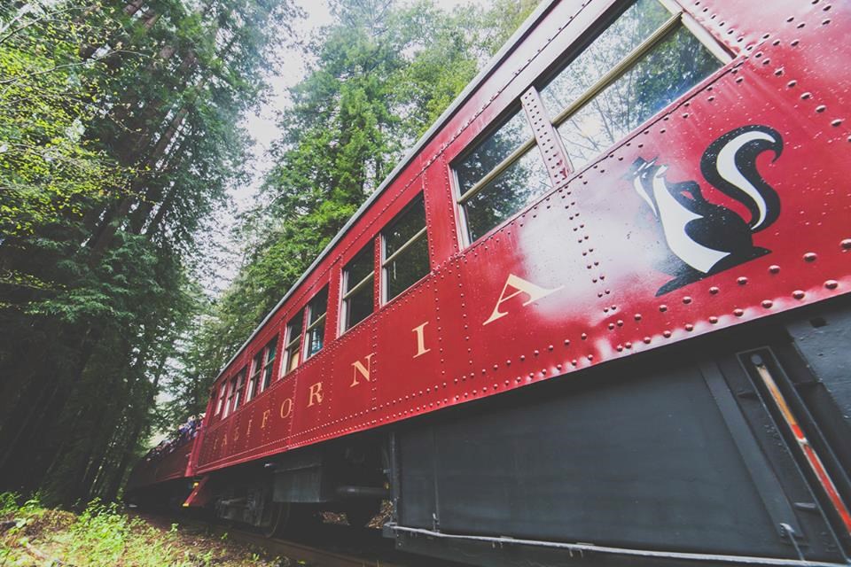 The Skunk Train