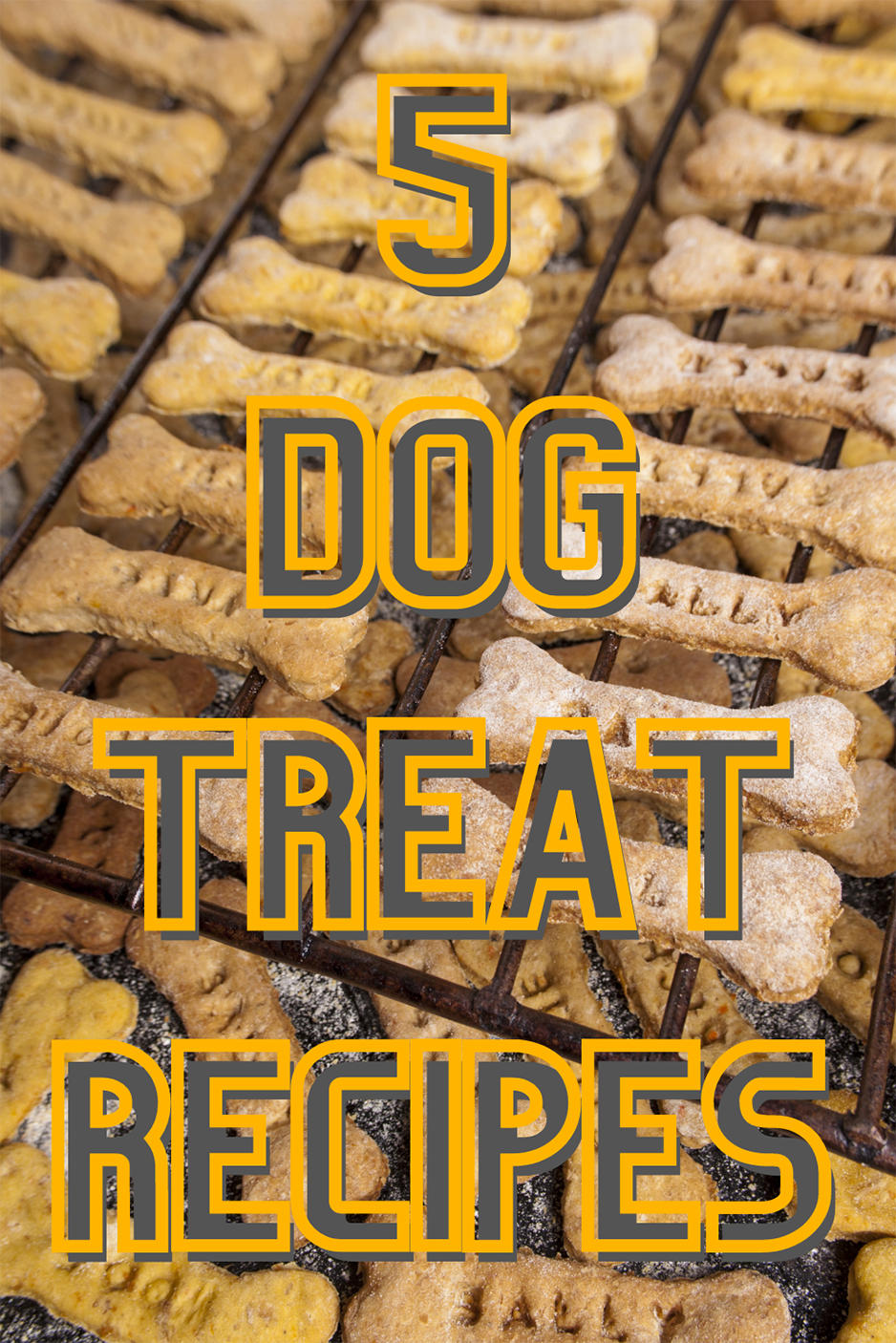 Make your four-legged friend jump for joy with these homemade dog treats. From frozen watermelon treats to peanut butter-banana treats, there's something for every pup!