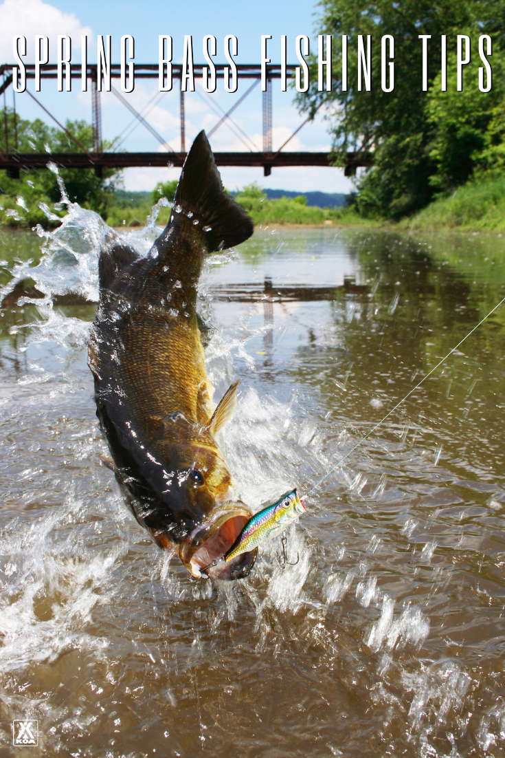 These are the best tips for spring bass fishing. #springfishing #fishing #bassfishing