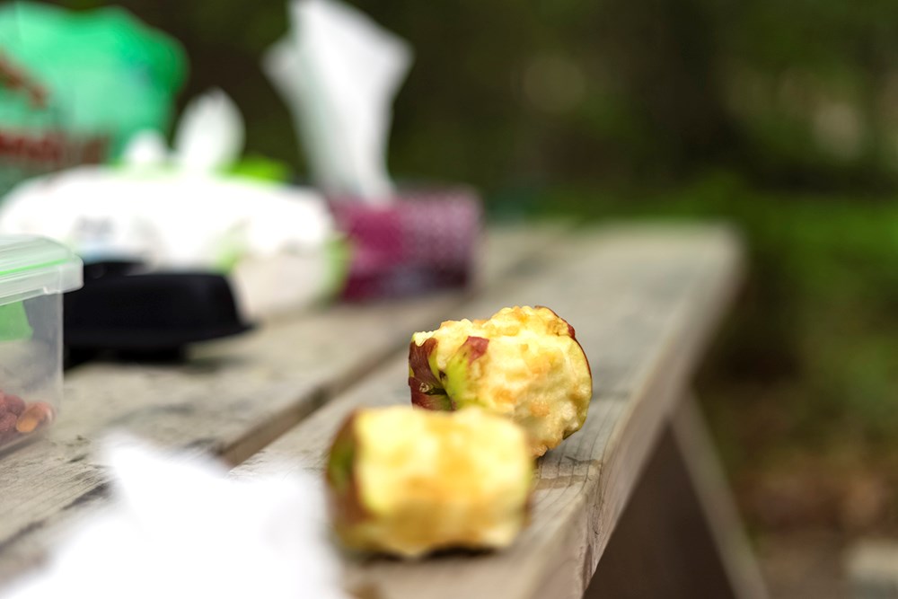 Picnic table littered with food residues and napkins