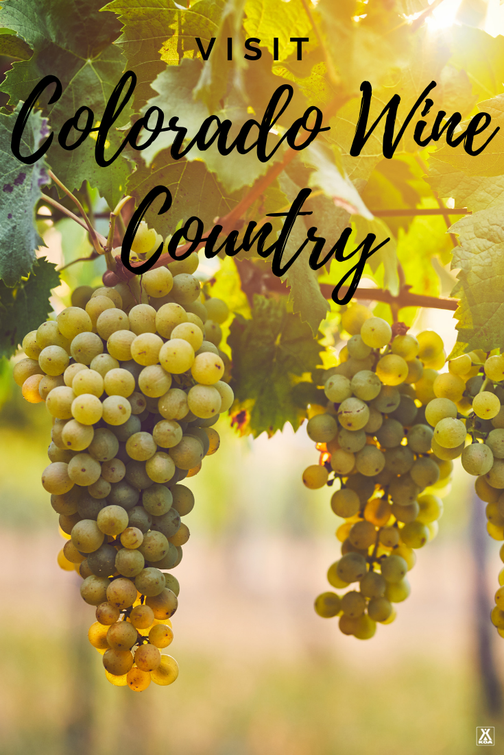 Take a trip to Colorado to experience this state's awe-inspiring wine region. Whether you're looking for adventure or just want to sit back and sip, Colorado wine country has something for everyone.