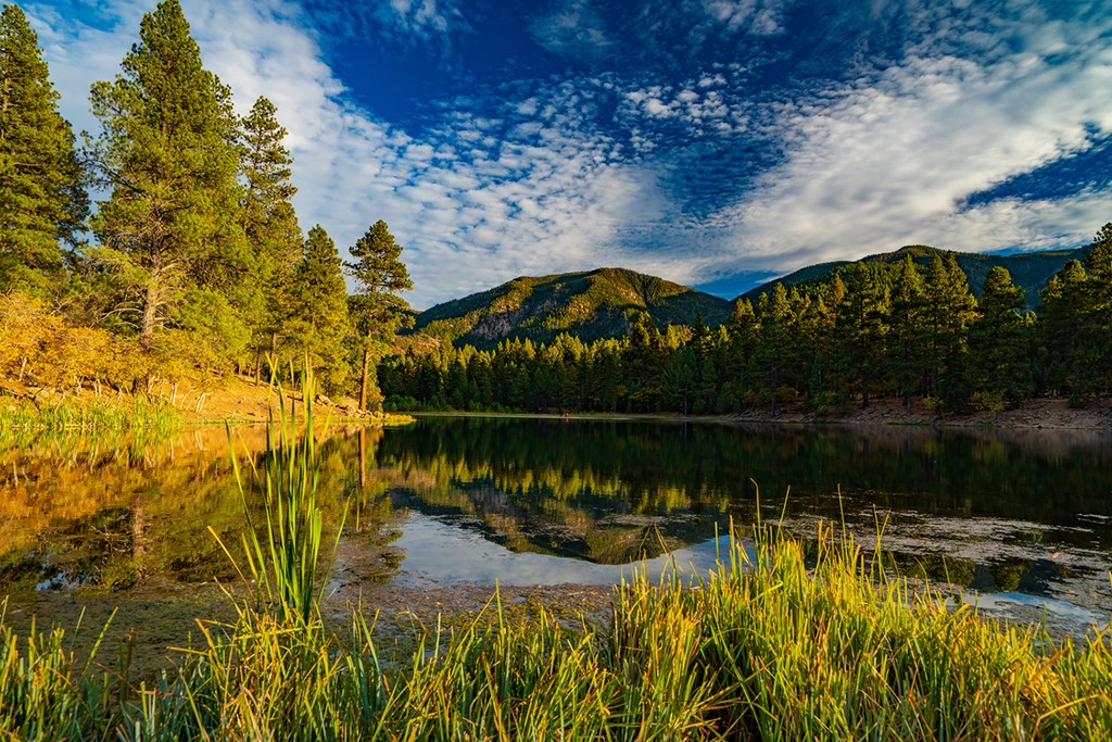 Pine Valley Recreation Area, Dixie National Forest, Utah