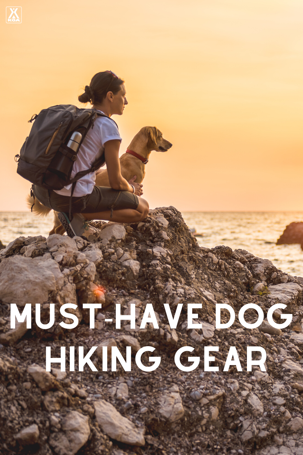 Before you hit the trail with your four-legged friend make sure that they have all the gear they need for a successful outing. Check out our dig hiking gear list here!