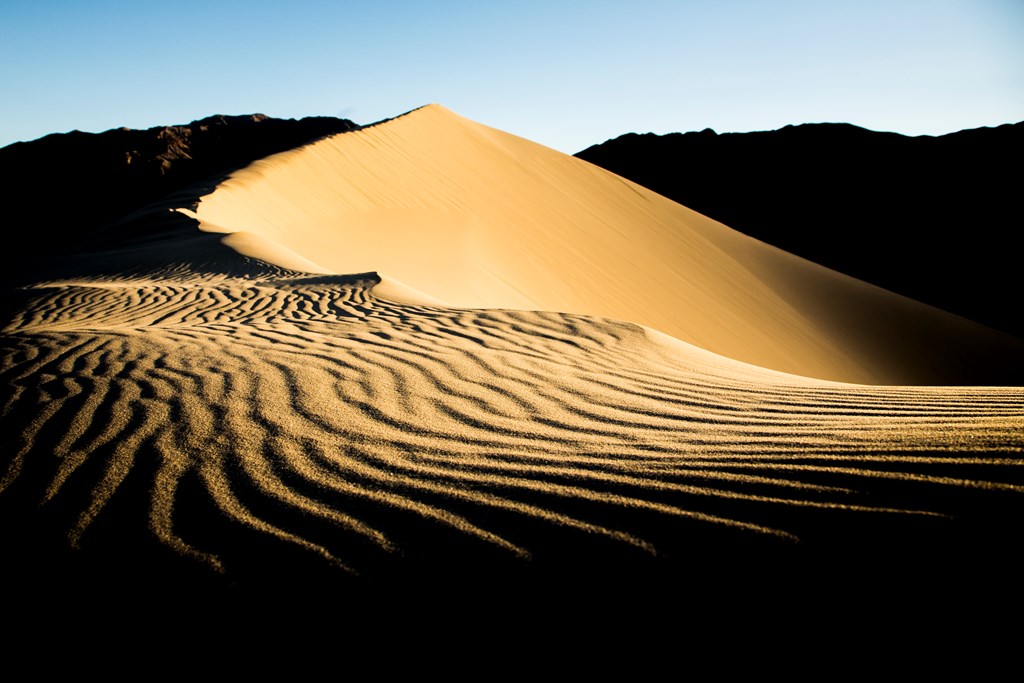 Near the top of Eureka Dunes, the tallest sand dunes in Death Valley National Park and California. In the middle of the Mojave desert as the sun rises and the ripples in the dune cast their shadows.