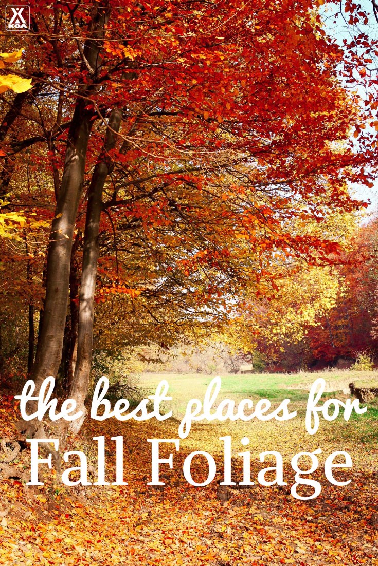 Go HERE for fall foliage!