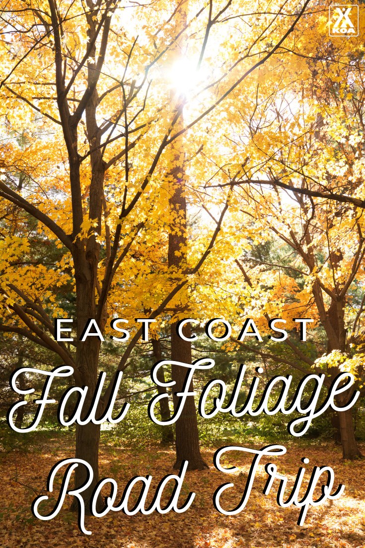 Ready for adventure? Here’s a fall road trip you’ll never forget, taking advantage of the best that East Coast has to offer. 