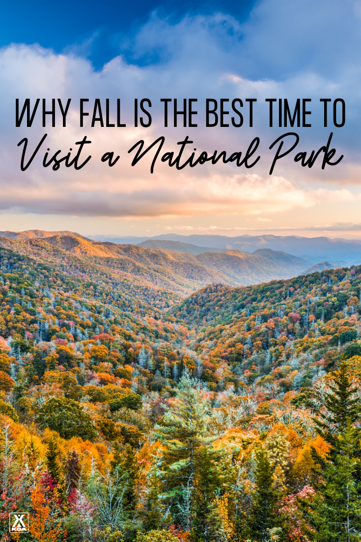 Many national parks experience their best weather window during the autumn months while offering better wildlife sightings, fewer crowds, and shoulder-season pricing. Here are our top reasons for taking a trip to a national park during the fall.