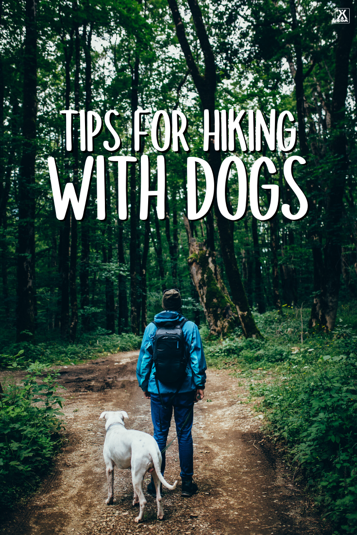 Hiking is a great way to get outdoors & bond with your four-legged friend. Check out our guide on trail etiquette for hiking with your dog & some great tips!