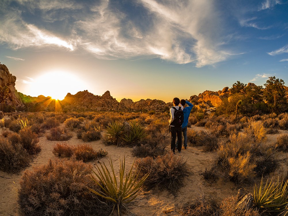 Hiking Joshua Tree NP