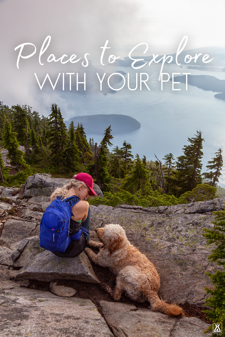 If you've got a dog that loves the outdoors as much as you do, try one of these six spots to take on a nature adventure with your four-legged friend.