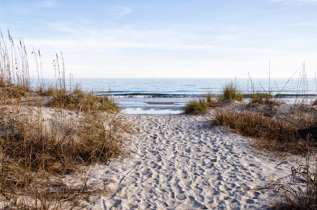 A much traveled sandy footpath leading to the Atlantic Ocean at Huntington Beach State Park in South Carolina during the winter months.