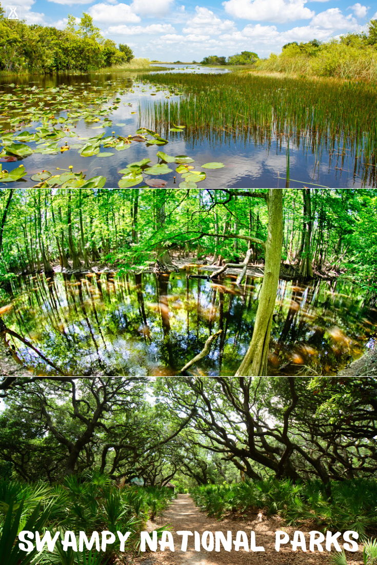 From the bayous of Louisiana, the Florida seashores, and the hardwood bottomland forests of South Carolina, these some of the best swampy national parks and natural areas perfect for an off-season adventure.