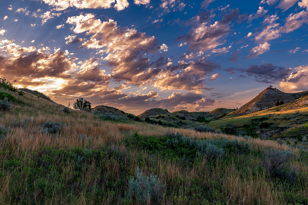 Theodore Roosevelt National Park