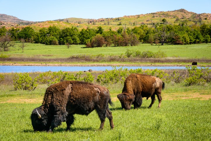 Wichita Mountains National Wildlife Refuge