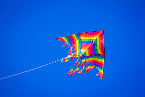 Fly Kites