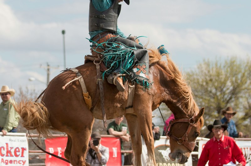 Alamosa Round-UP Photo