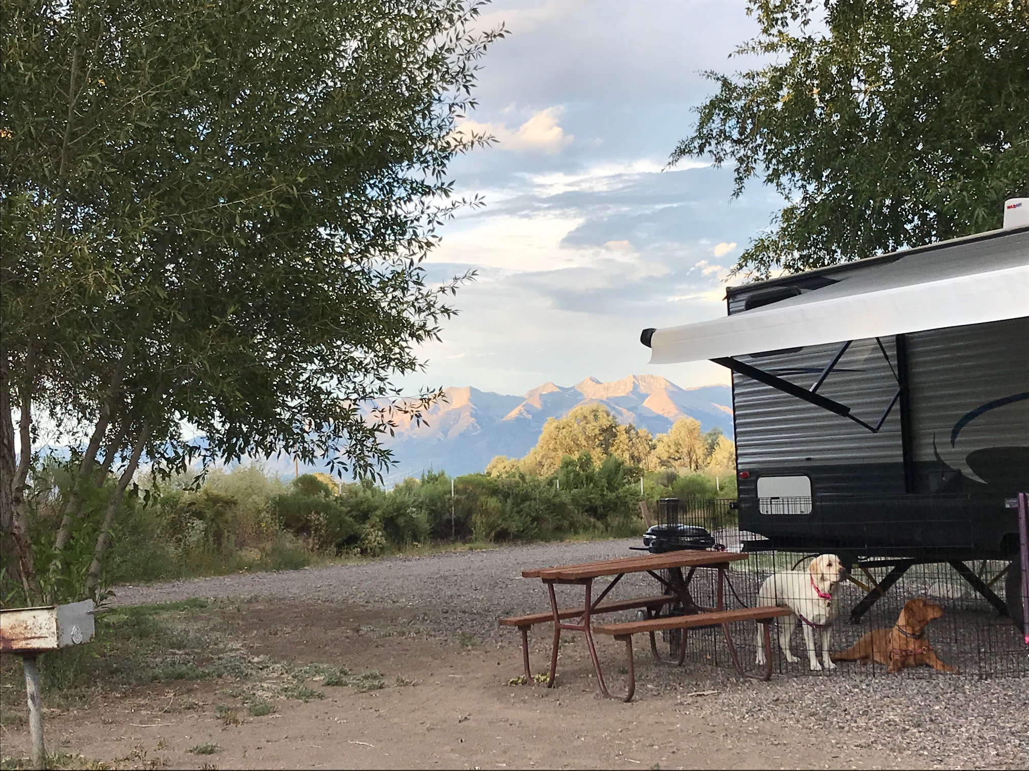 Even your furry friends will enjoy the view!