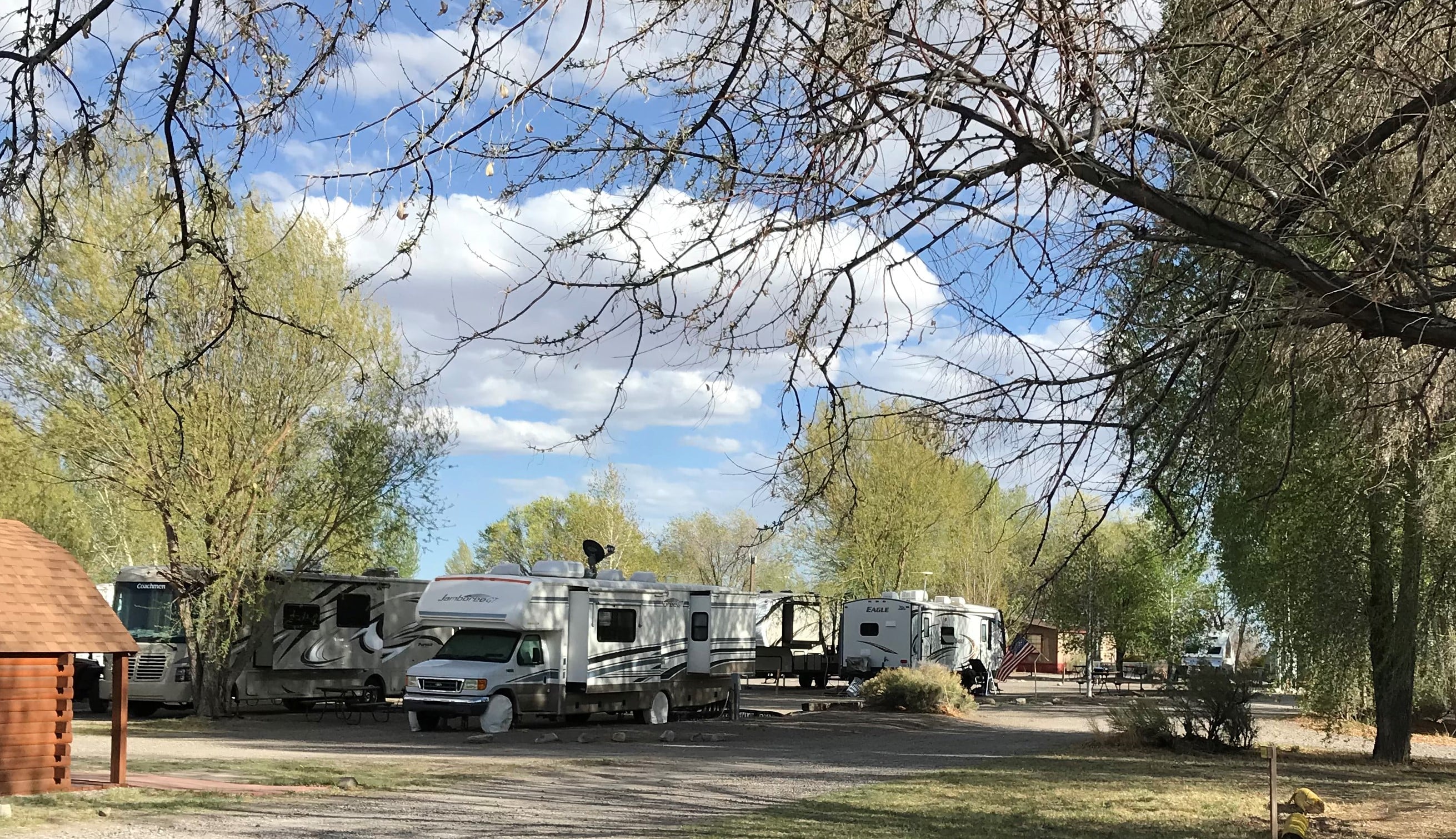 Mature trees on many 30A sites