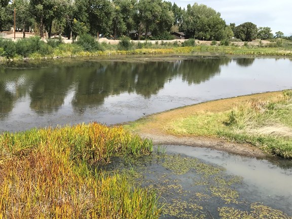 Rio Grande in downtown Alamosa