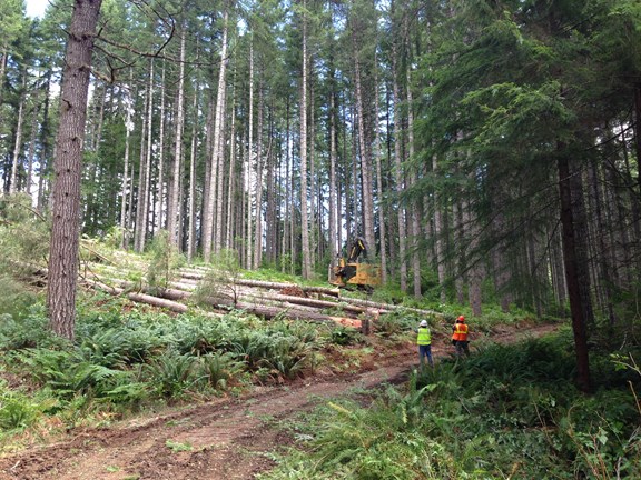 Starker Forests, Inc.