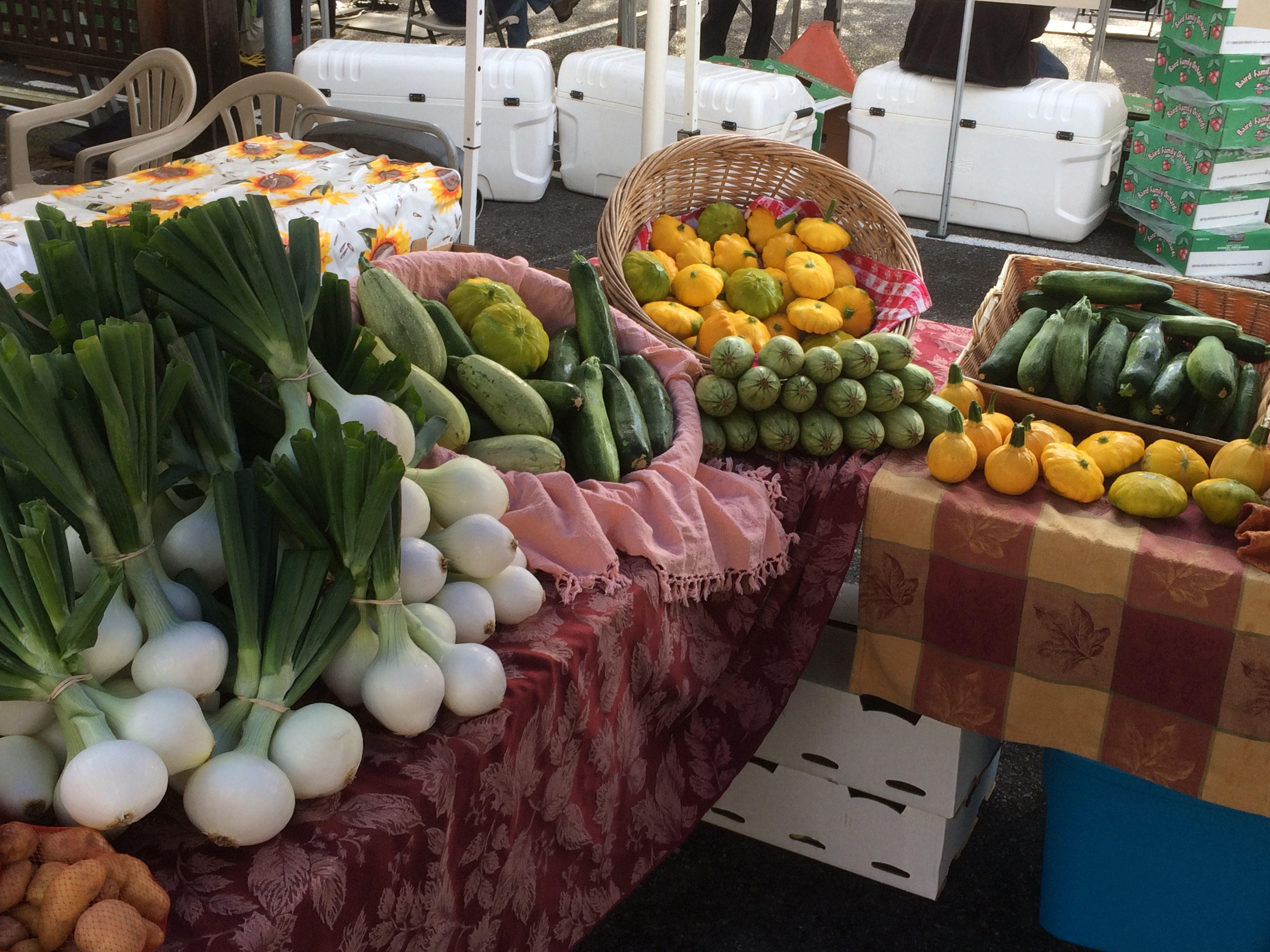Corvallis Farmers Market Photo