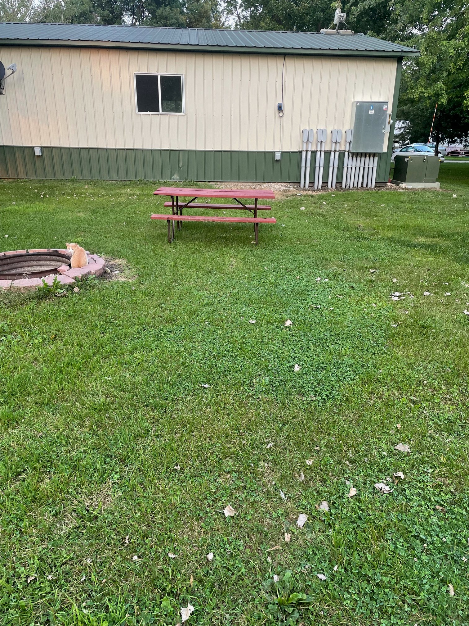Tent site with Electric
