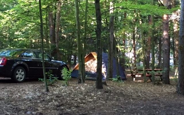 Water Electric Tent Sites