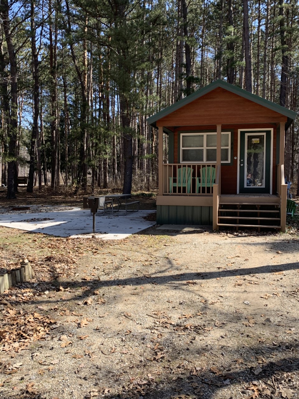 Deluxe Cabin with Patio
