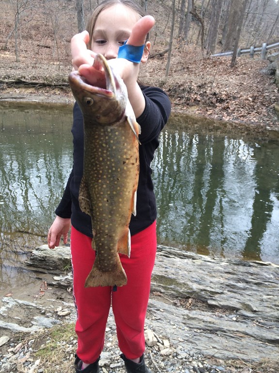 Fishing
