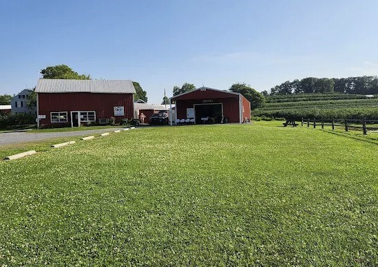George Schmidt Berry Farm