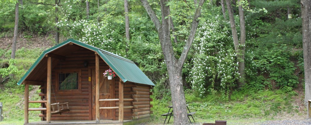 One room cabin
