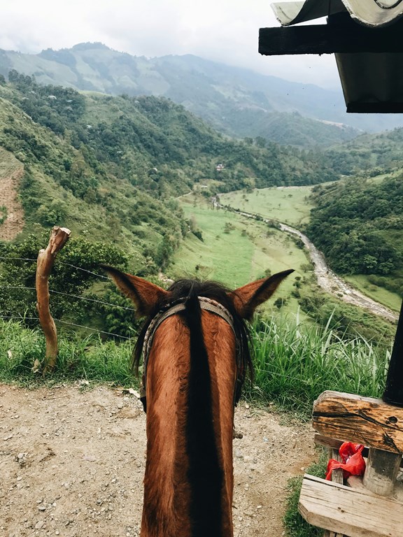 Horseback Riding