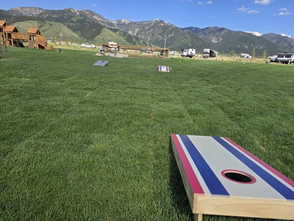 Cornhole